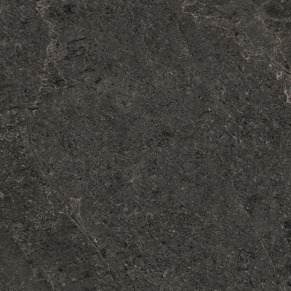 Farmhouse Living Slate Porcelain Tile