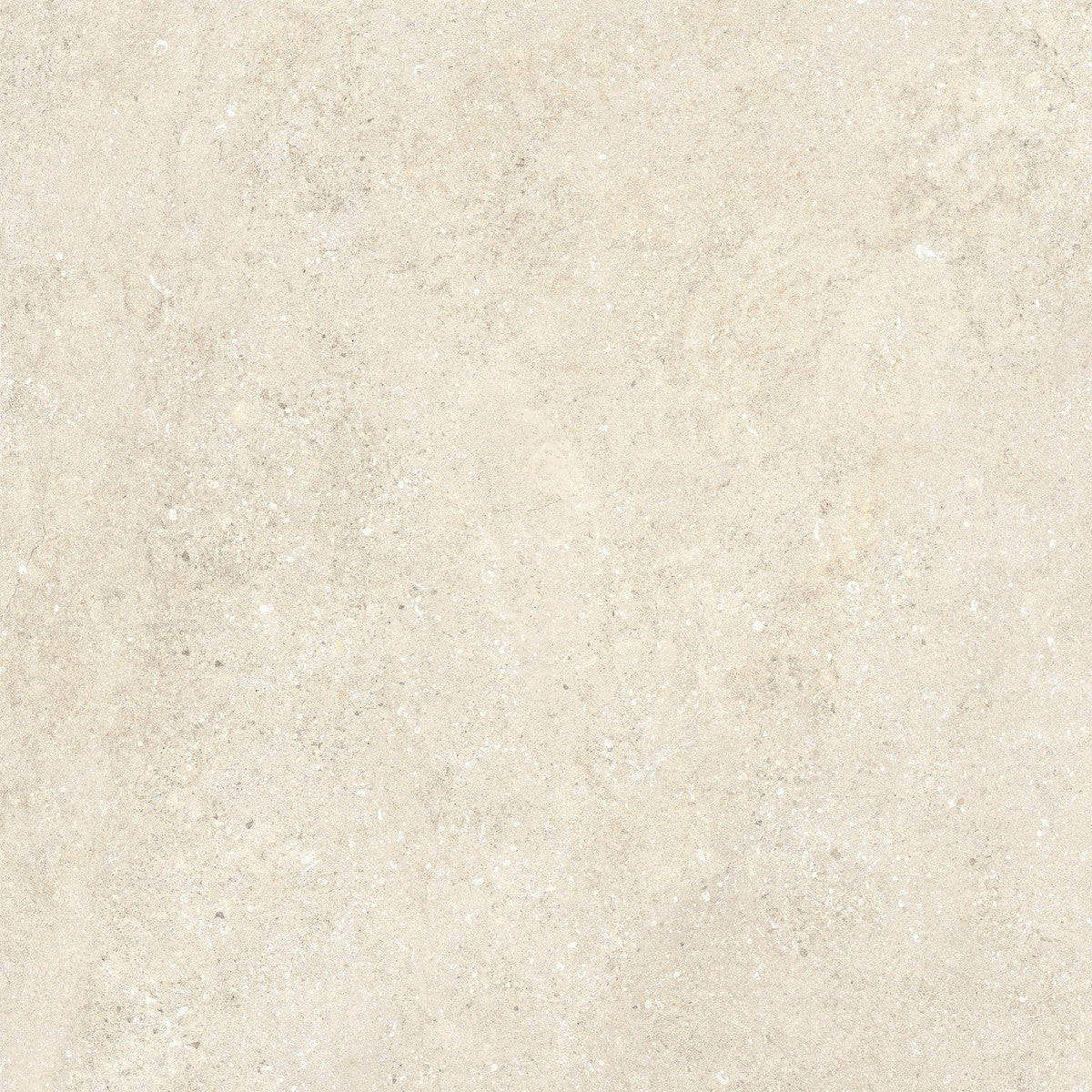 Untamed Wander Warm Porcelain Tile