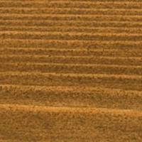 Osmo One Coat Only HS Plus Oak