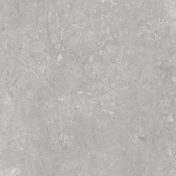 Graystone Silver Porcelain