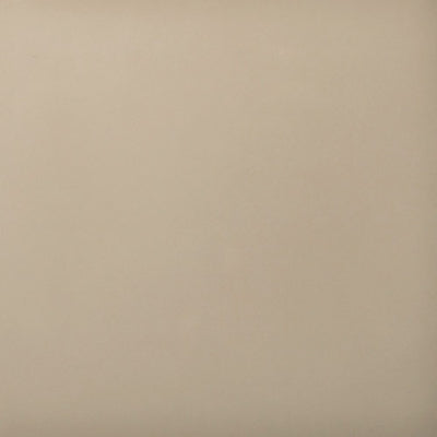 Ceramic tile in soft beige with subtle sand-like texture and slight color variation for a natural stone look.