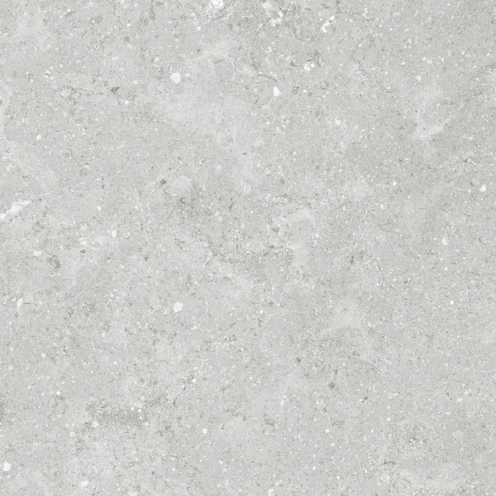 Coliseo Platinum Tile color swatch