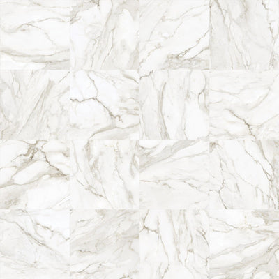 Calacatta Paonazzo – Porcelain collection