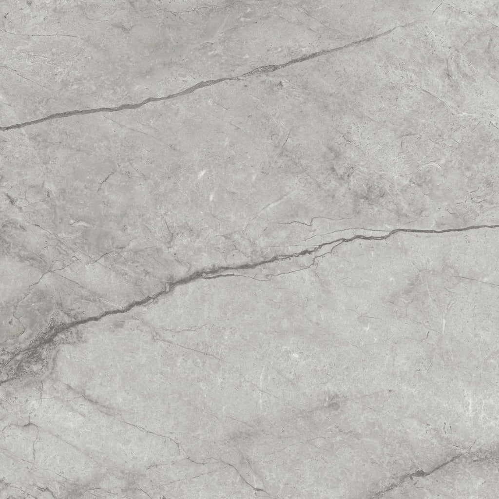 La Marca Paradiso Argento Tile color swatch