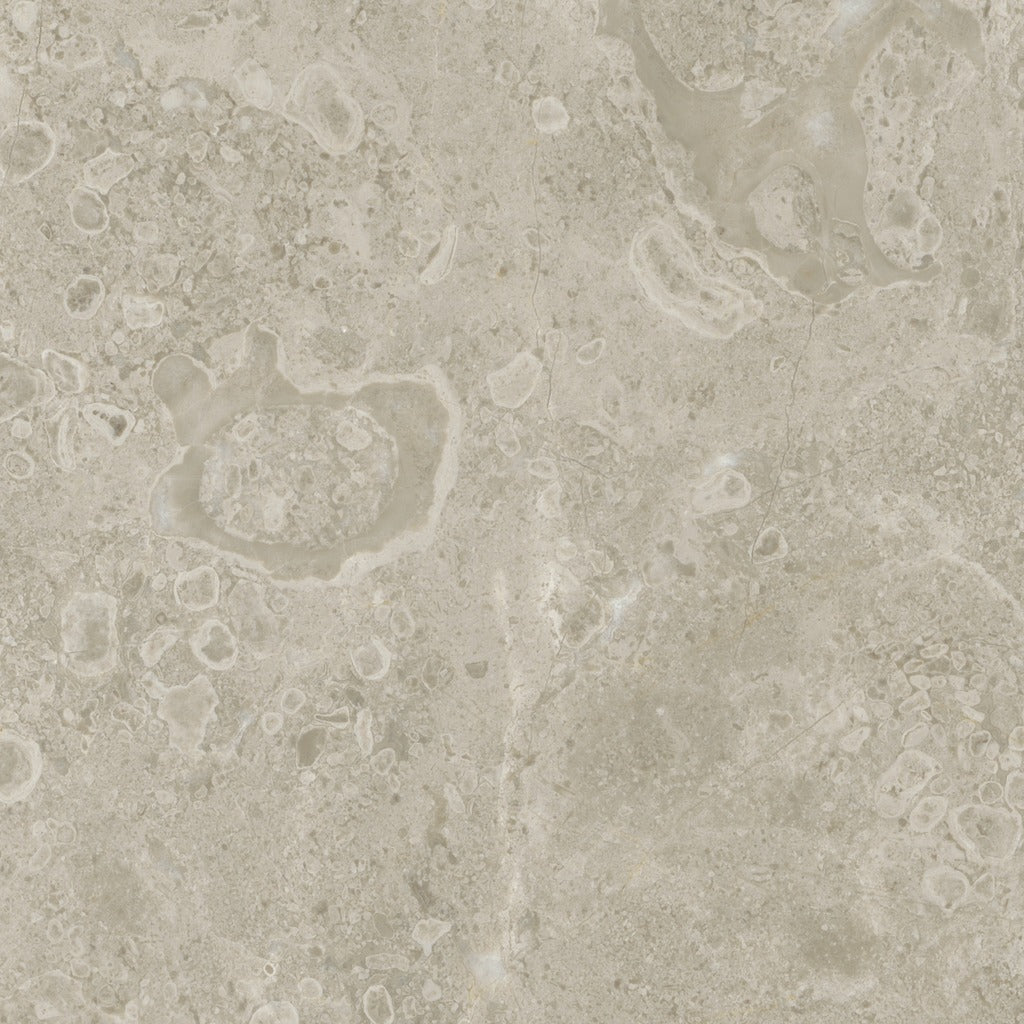 Ritz Gray Ritz Gray Tile color swatch
