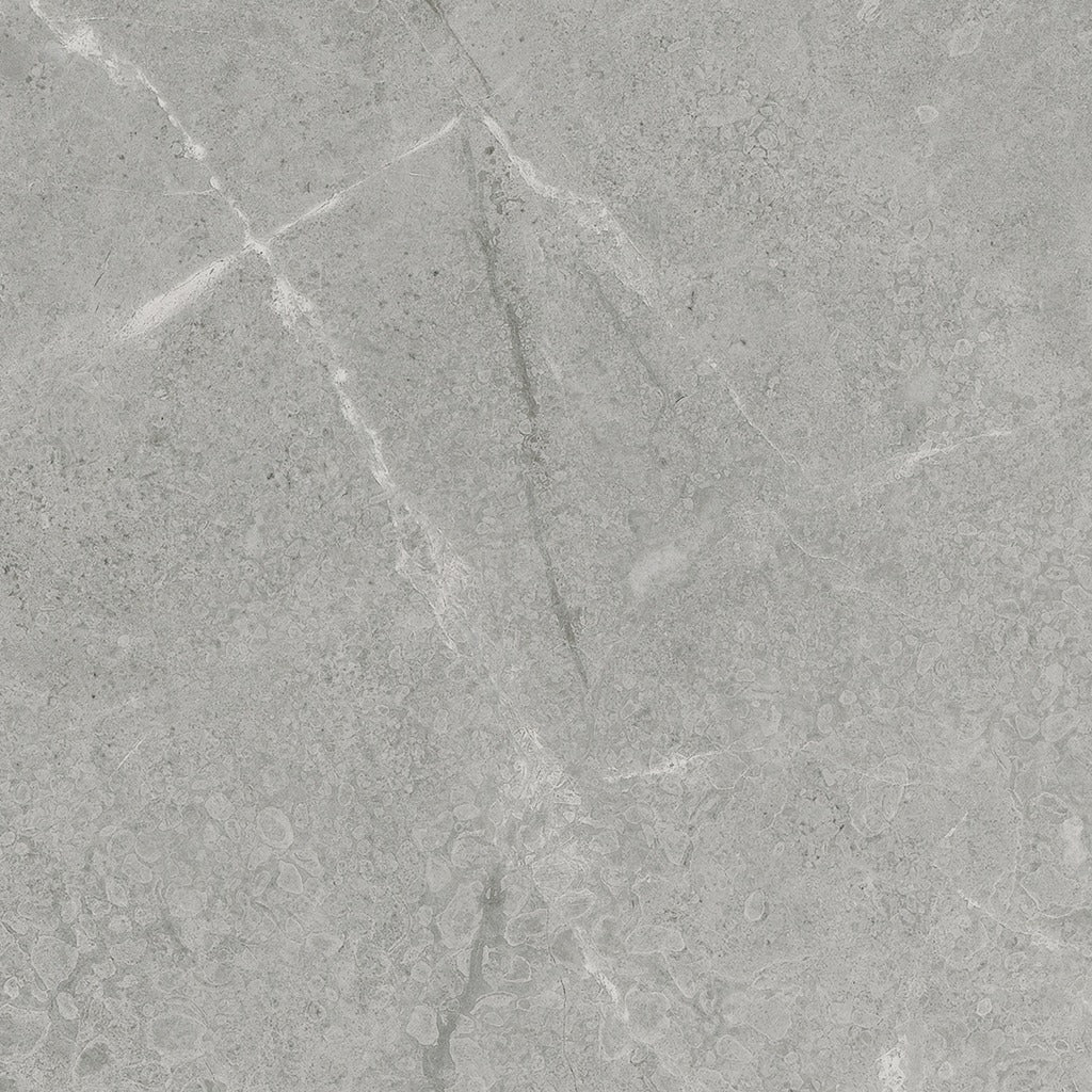 Torino Argento Tile color swatch