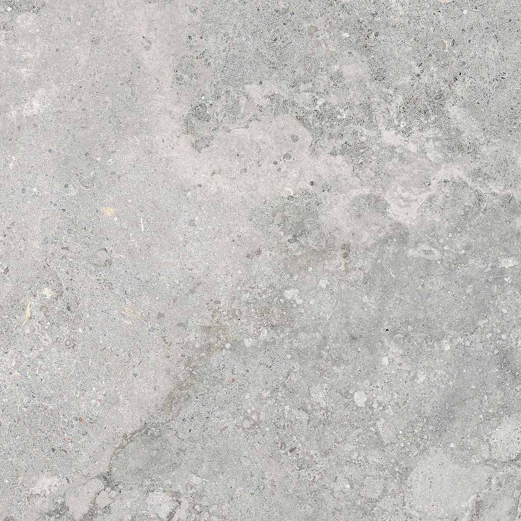 Veneta Argento Tile color swatch