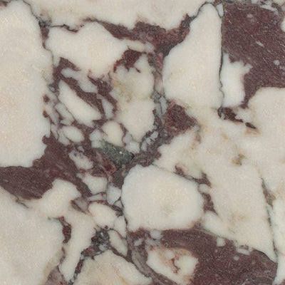 Calacatta Viola Marble Tile tile and surface collection