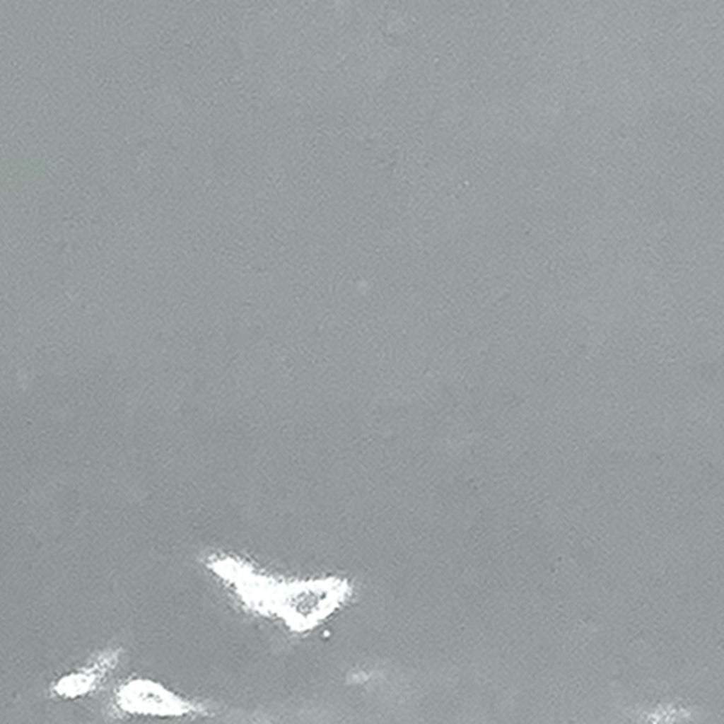 Mist Hampton E Field Tile