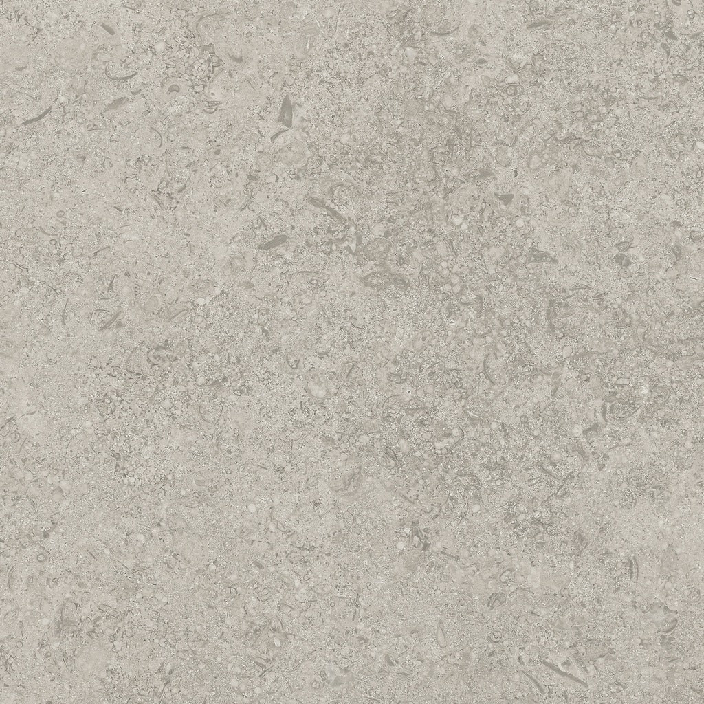 Mood Ash Porcelain Tile