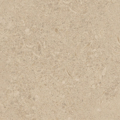 Biscuit tile and surface collection