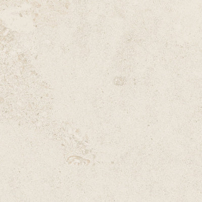 Limestone tile and surface collection
