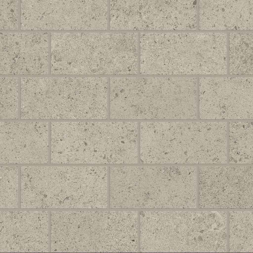 Trail Mood Greige Porcelain Tile