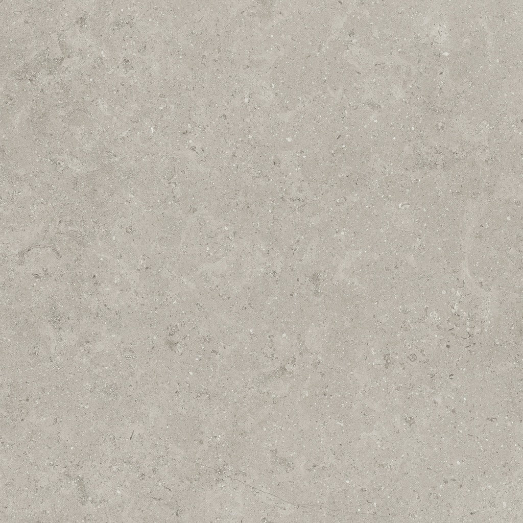 Limestone Ash Porcelain Paver