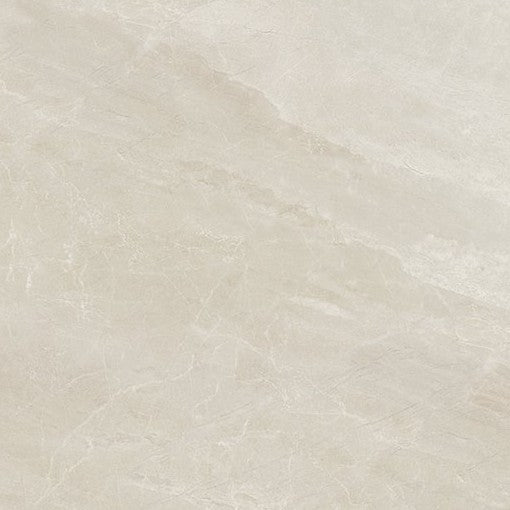 Nuance White Shell