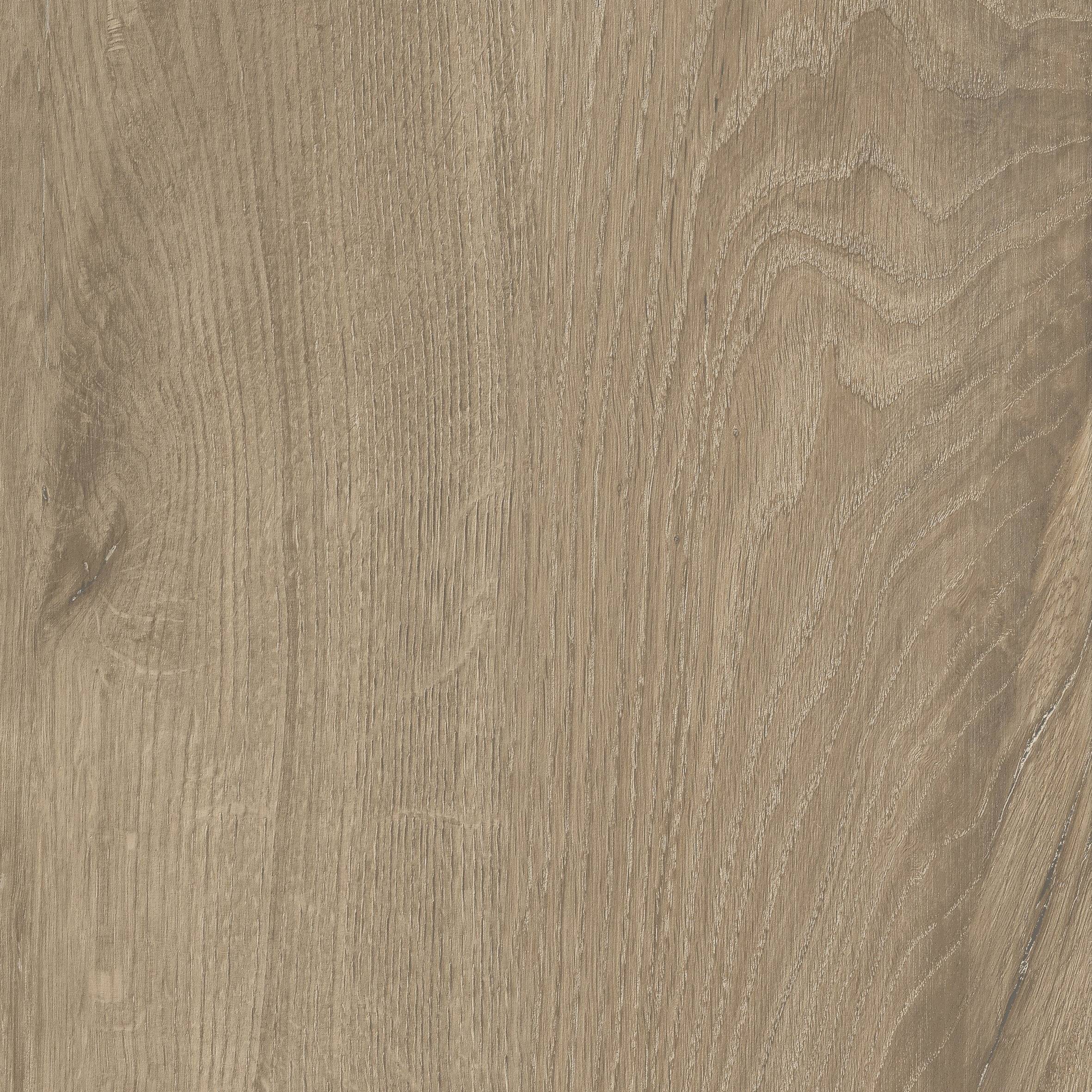 Elixir Hazelnut Hazelnut Porcelain