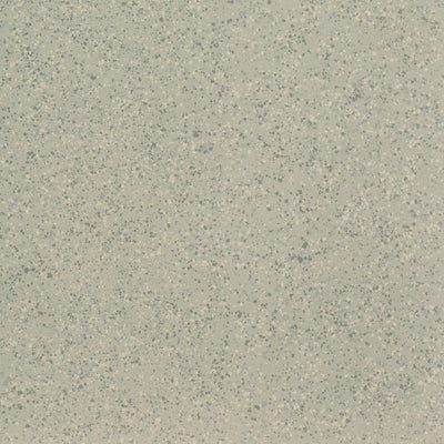 Parade Beige Medium Grain Porcelain