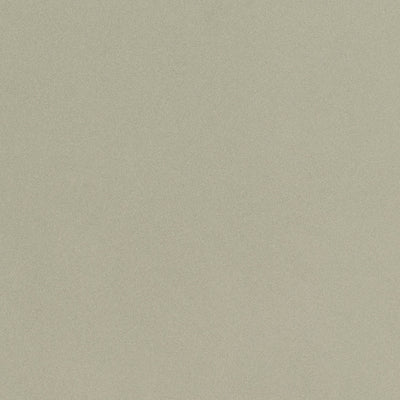 Parade Beige Small Grain Porcelain