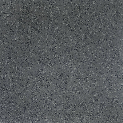 Parade Dark Grey Medium Grain Porcelain