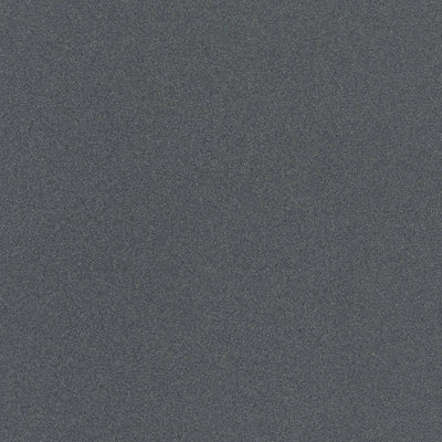Parade Dark Grey Small Grain Porcelain