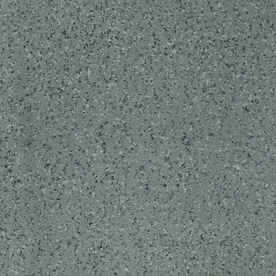 Parade Grey Medium Grain Porcelain