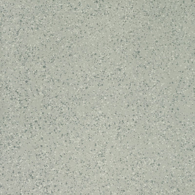 Parade Silver Medium Grain Porcelain