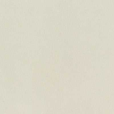 Parade White Small Grain Porcelain