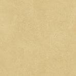 Retina Mustard Earth Porcelain