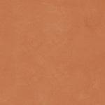 Retina Orange Earth Porcelain