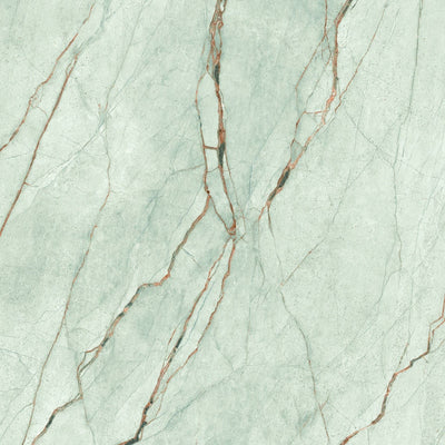 The Room Grey Grey Roots Porcelain