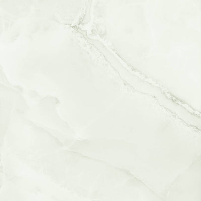 The Room White Absolute White Porcelain