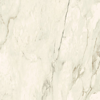 The Room White Cremo Delicato Porcelain