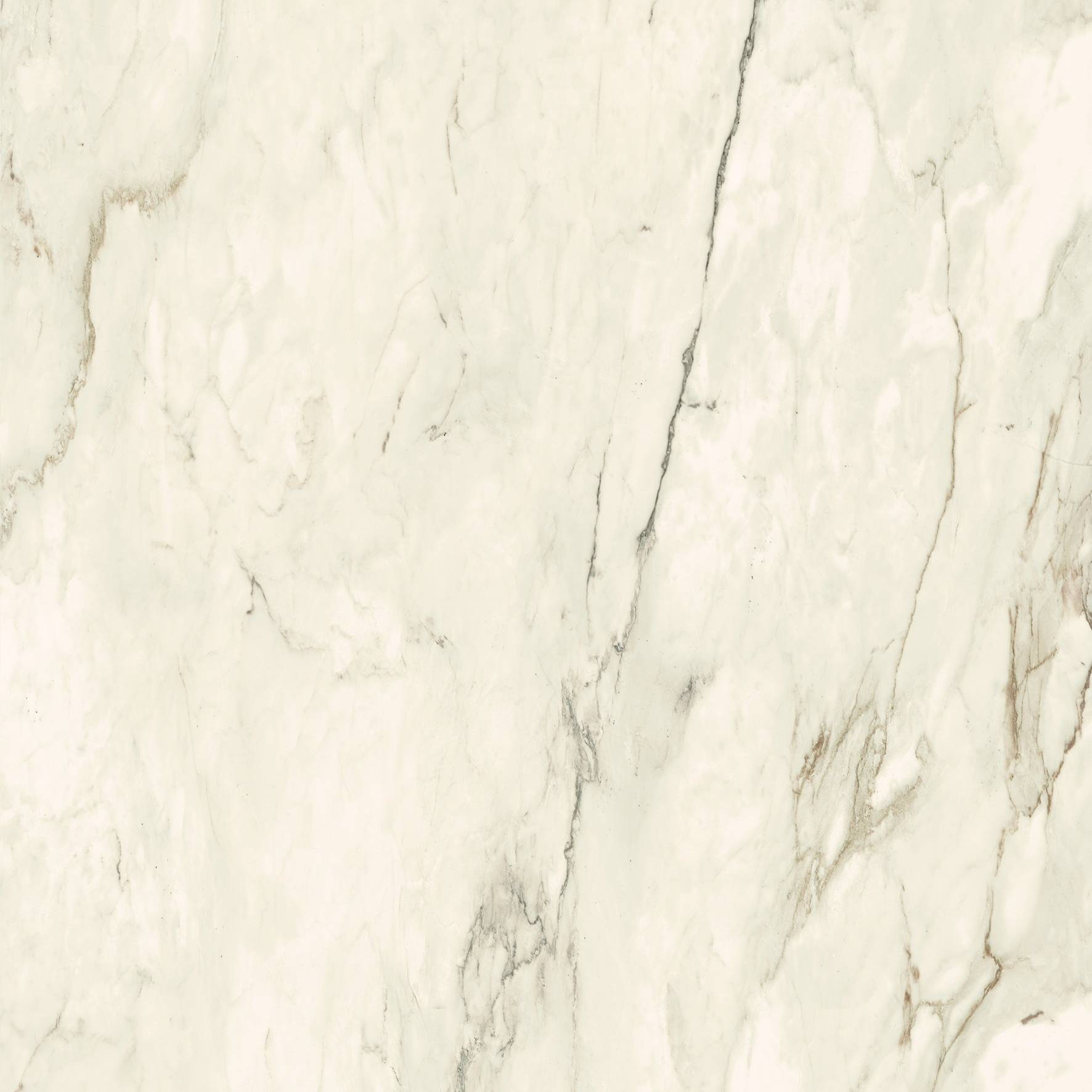 The Room White Cremo Delicato Porcelain