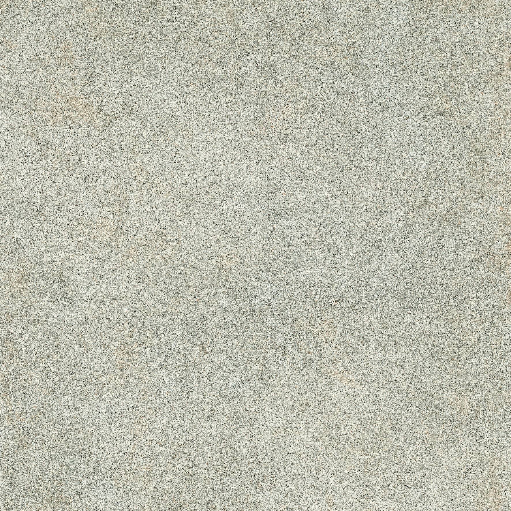 Walk Greige Sedimentary Porcelain