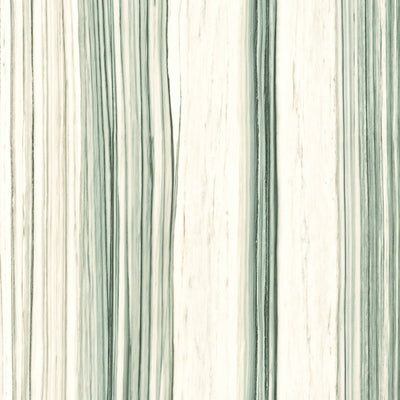Aesthetica White Zebrino Porcelain