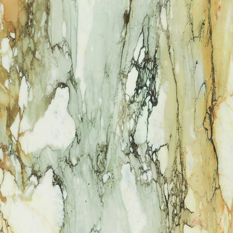 Bianco White Calacatta Mv Porcelain