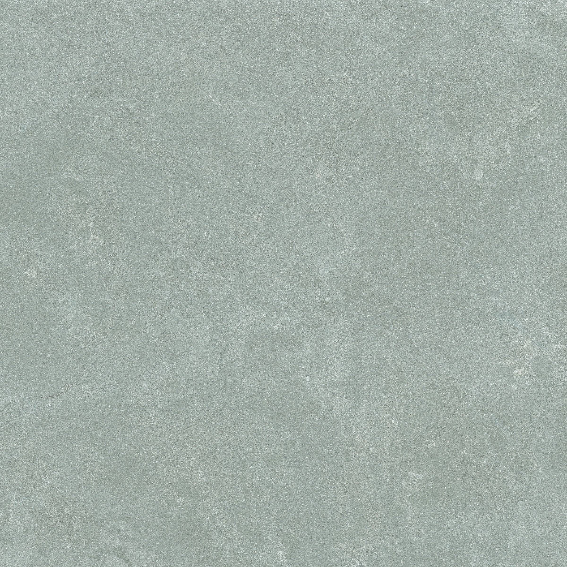 Party Grey Sedimentary Porcelain