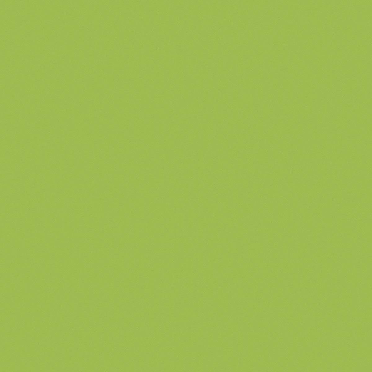 Endless Green Solid Color Porcelain