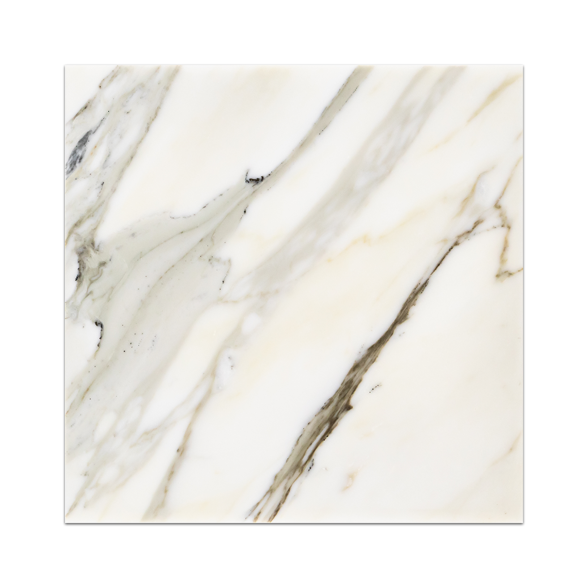 Calacatta Gold Field Tile