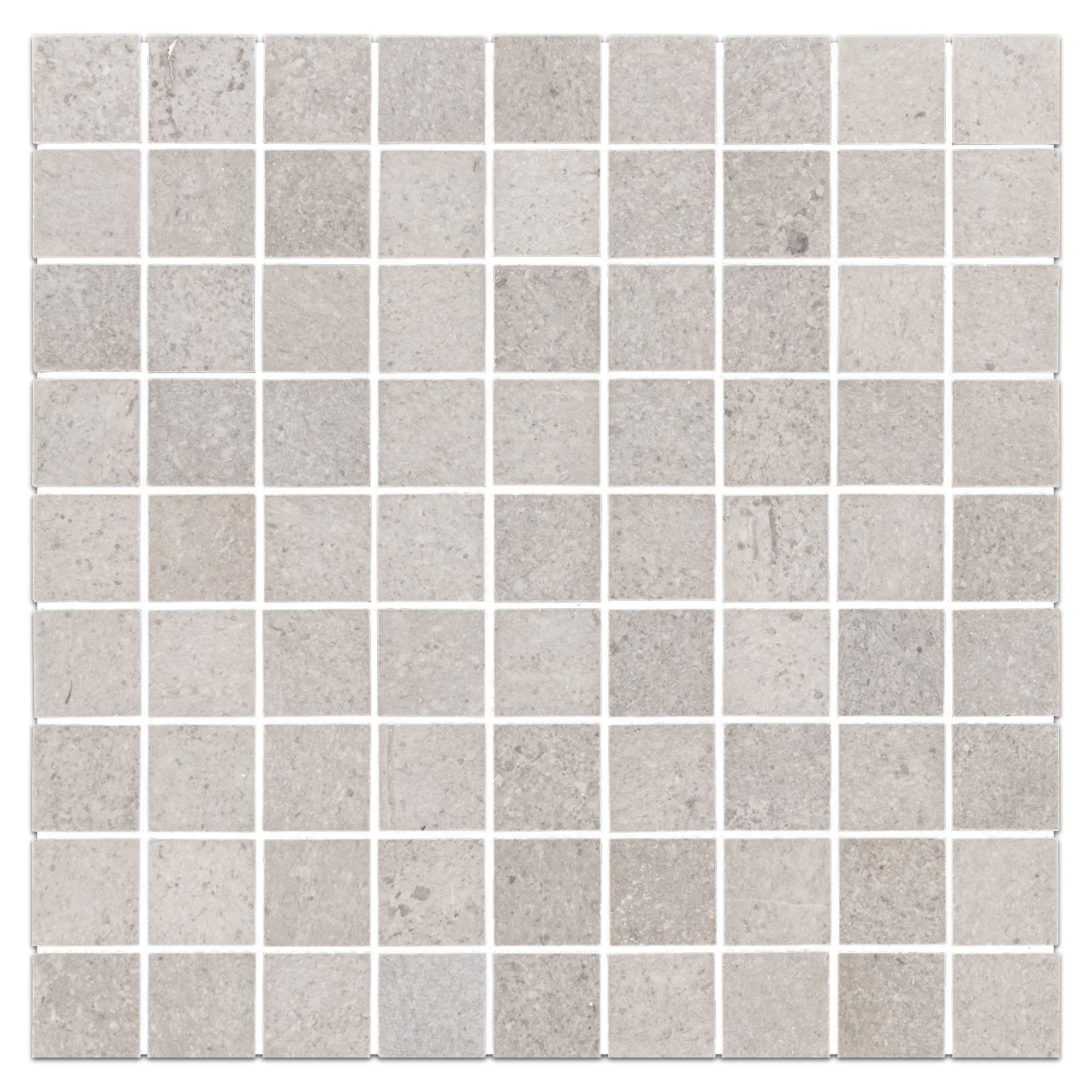 Sand Dollar Mosaic
