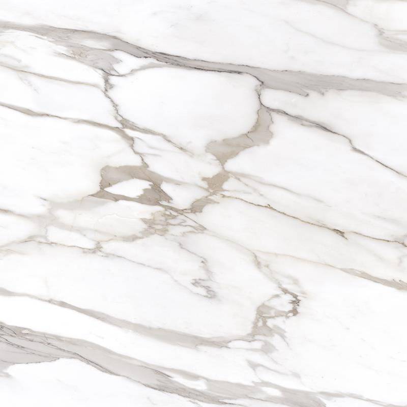 A close-up view of a high-gloss Calacatta Gold Canova porcelain tile, featuring a white background with subtle gray veining throughout.