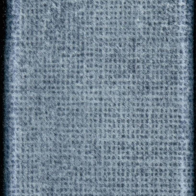 Harbor Luminescence Oceanic Pulse