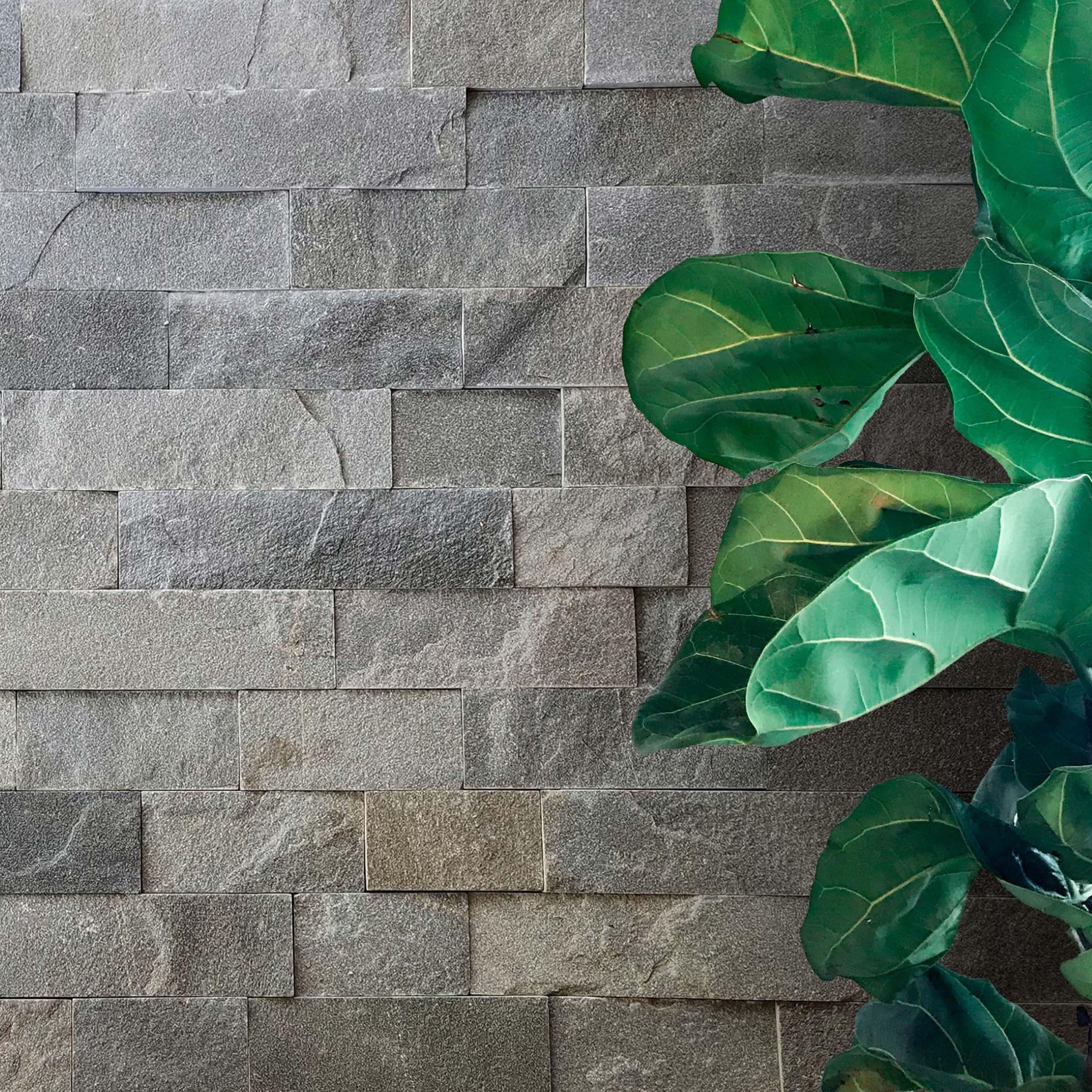 4xFree & 8xFree Length Veneer