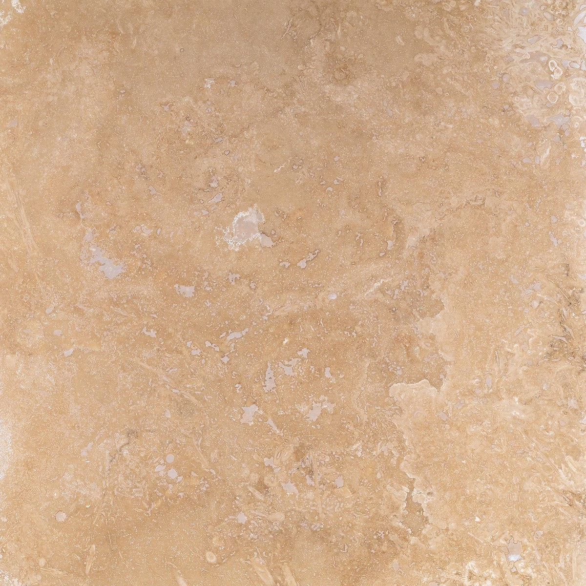Ivory Premium Field Tile