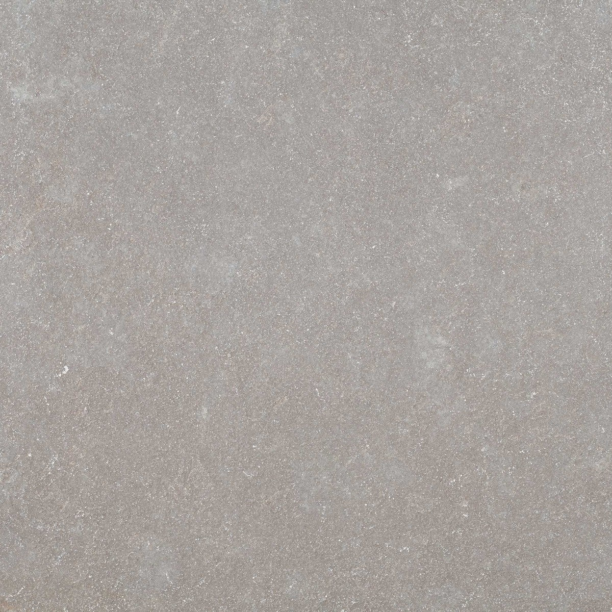 Purbeck Grey Pavers