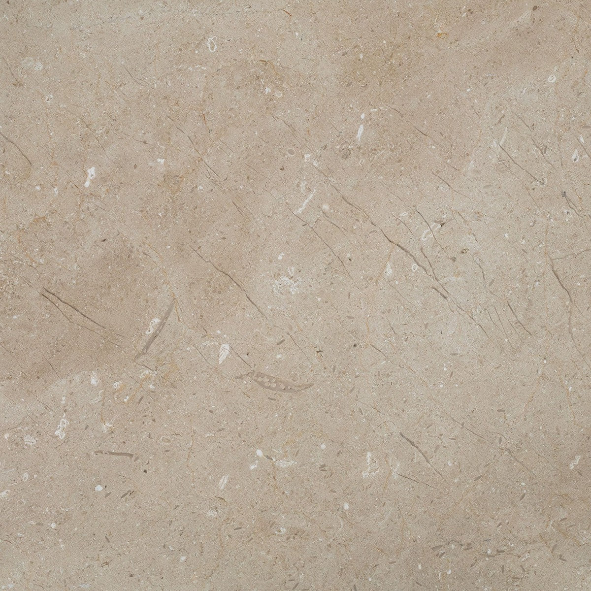 Crema Marfil Classic Field Tile