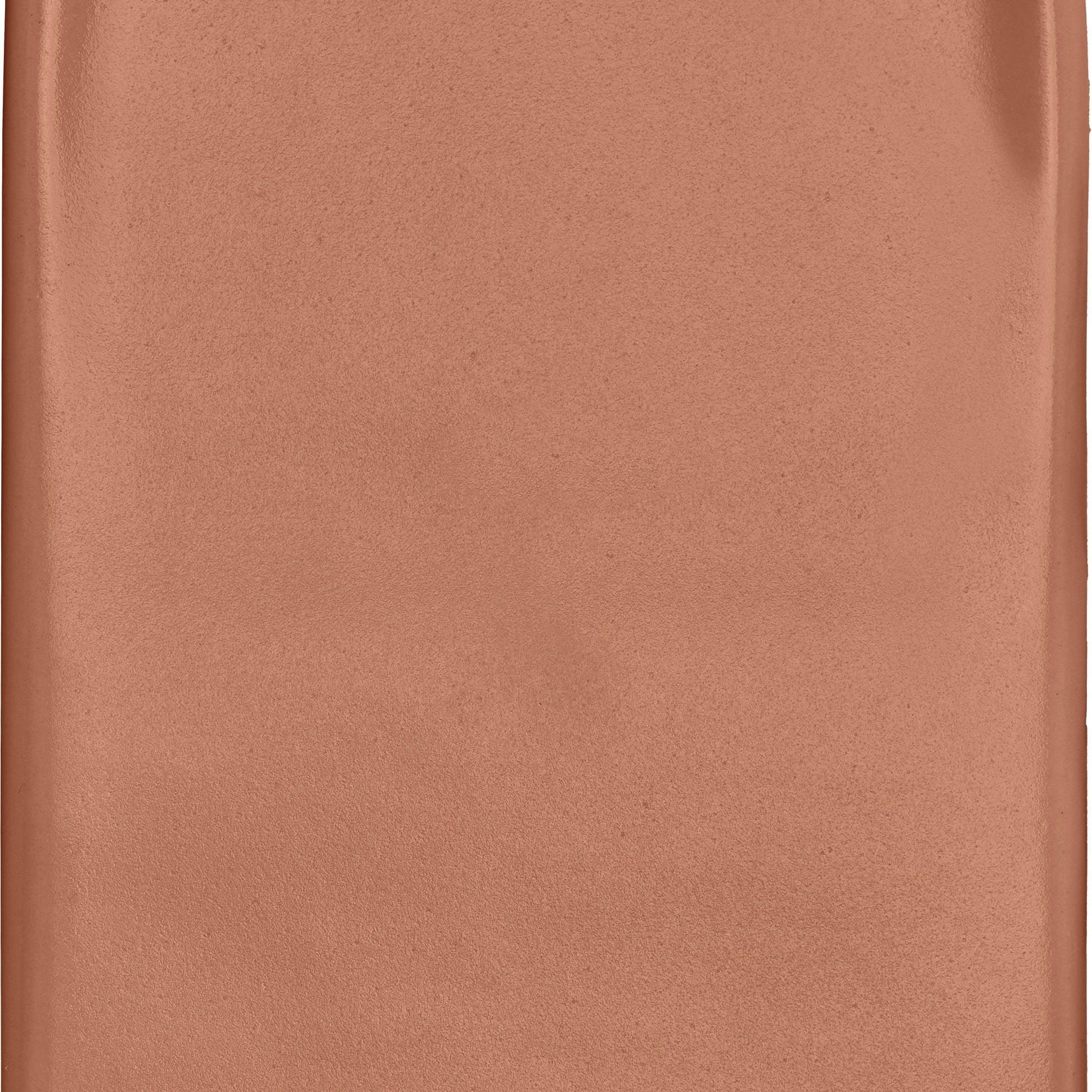 Palette Prodigy Prodigy Solstice