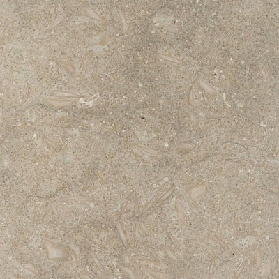 Seagrass Limestone Tile tile and surface collection