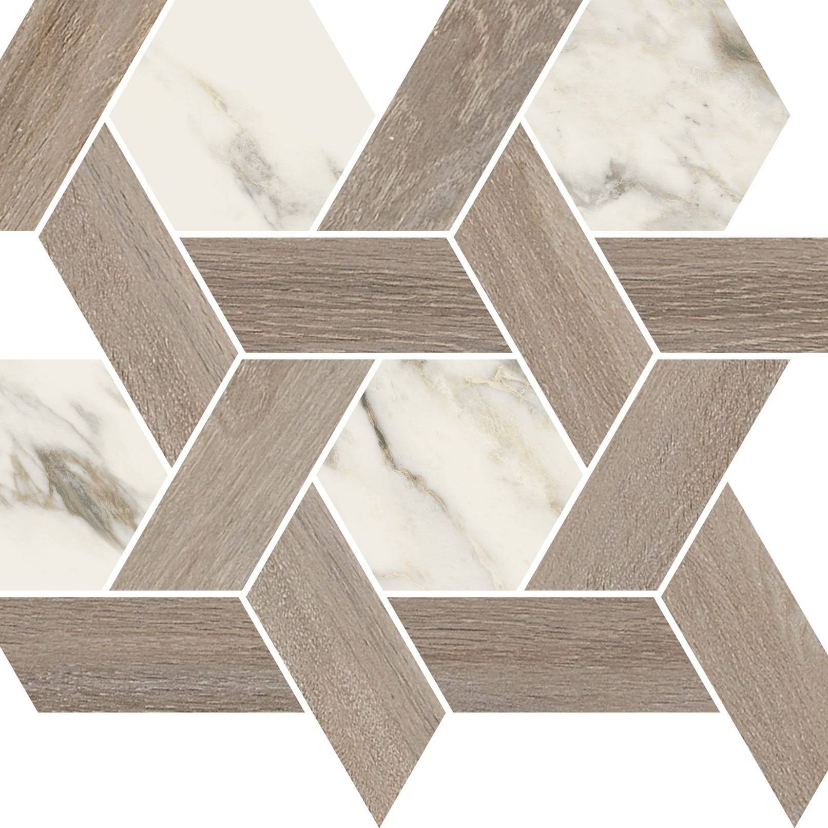 Renaissance Resonance Multicolor