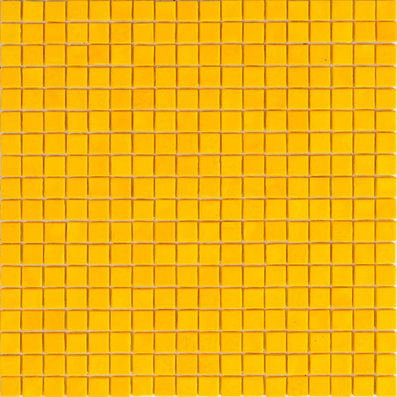 SOLID COLORS: Orange